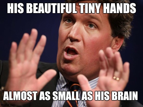 Tucker Fucker | HIS BEAUTIFUL TINY HANDS; ALMOST AS SMALL AS HIS BRAIN | image tagged in tucker fucker | made w/ Imgflip meme maker
