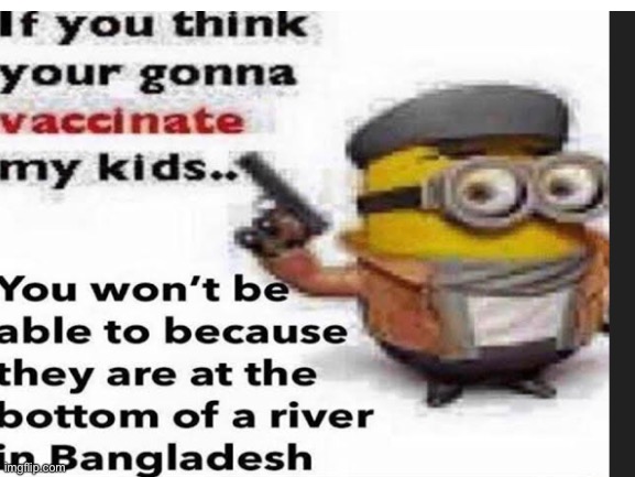 What have you done | image tagged in river,minion,anti vax | made w/ Imgflip meme maker