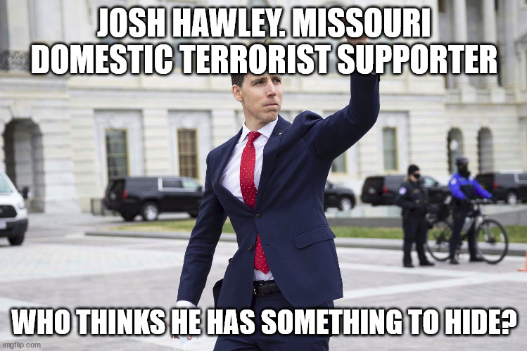 The face of a Domestic Terrorist supporter | JOSH HAWLEY. MISSOURI DOMESTIC TERRORIST SUPPORTER; WHO THINKS HE HAS SOMETHING TO HIDE? | image tagged in josh hawley,donald trump approves,missouri,missouri mule,terrorist | made w/ Imgflip meme maker