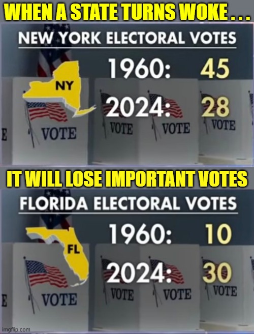 NY vs FL electoral votes |  WHEN A STATE TURNS WOKE . . . IT WILL LOSE IMPORTANT VOTES | image tagged in political meme,elections,electoral college,woke,new york,florida | made w/ Imgflip meme maker
