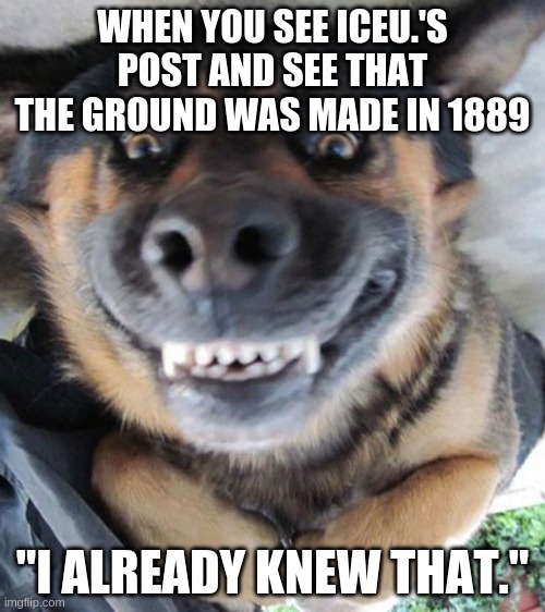 THE DUH DOG | WHEN YOU SEE ICEU.'S POST AND SEE THAT THE GROUND WAS MADE IN 1889; "I ALREADY KNEW THAT." | image tagged in the duh dog,memes | made w/ Imgflip meme maker