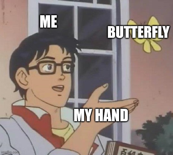 Me | ME; BUTTERFLY; MY HAND | image tagged in memes,is this a pigeon | made w/ Imgflip meme maker