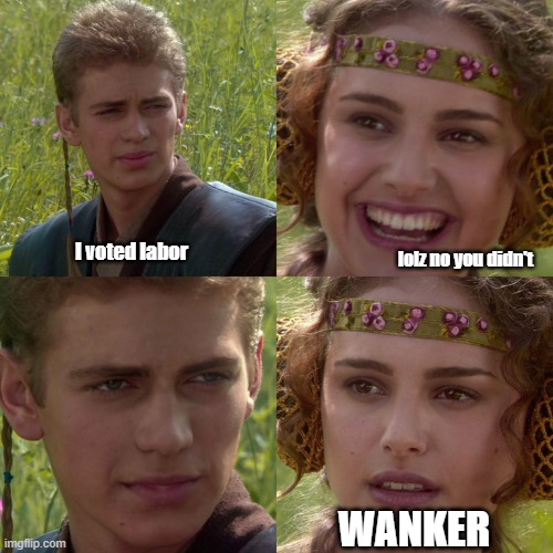 Anakin Padme 4 Panel | I voted labor; lolz no you didn't; WANKER | image tagged in anakin padme 4 panel | made w/ Imgflip meme maker