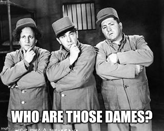 Three Stooges Thinking | WHO ARE THOSE DAMES? | image tagged in three stooges thinking | made w/ Imgflip meme maker