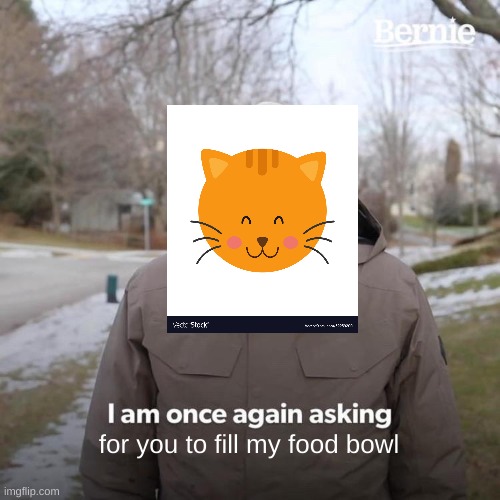lol |  for you to fill my food bowl | image tagged in memes,bernie i am once again asking for your support,cats,fun,funny memes,funny meme | made w/ Imgflip meme maker