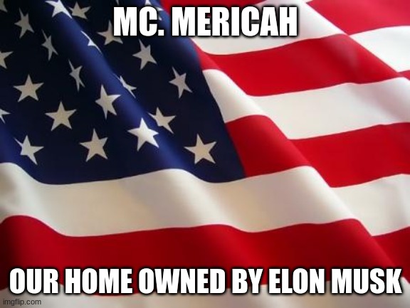 American flag | MC. MERICAH OUR HOME OWNED BY ELON MUSK | image tagged in american flag | made w/ Imgflip meme maker