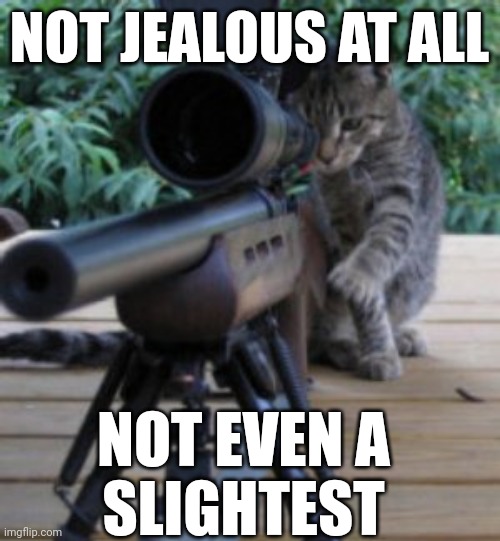 NOT JEALOUS SNIPER CAT | NOT JEALOUS AT ALL; NOT EVEN A
SLIGHTEST | image tagged in sniper cat | made w/ Imgflip meme maker