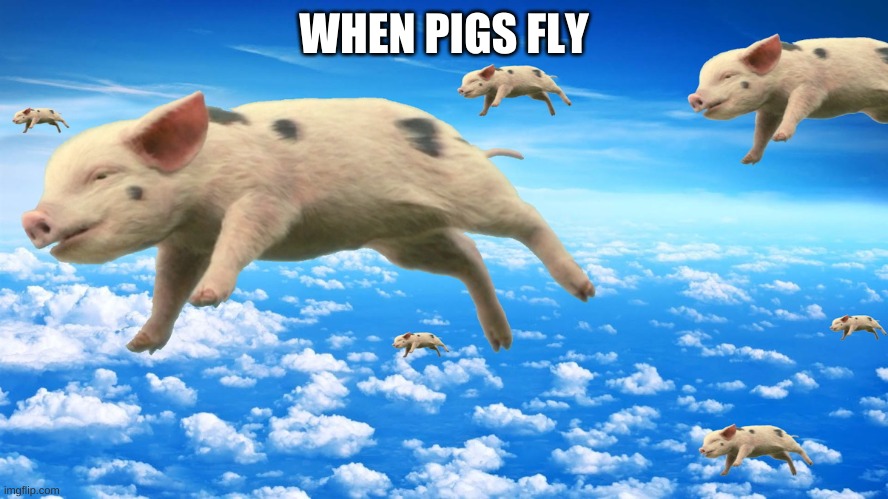 When Pigs Fly | WHEN PIGS FLY | image tagged in when pigs fly | made w/ Imgflip meme maker