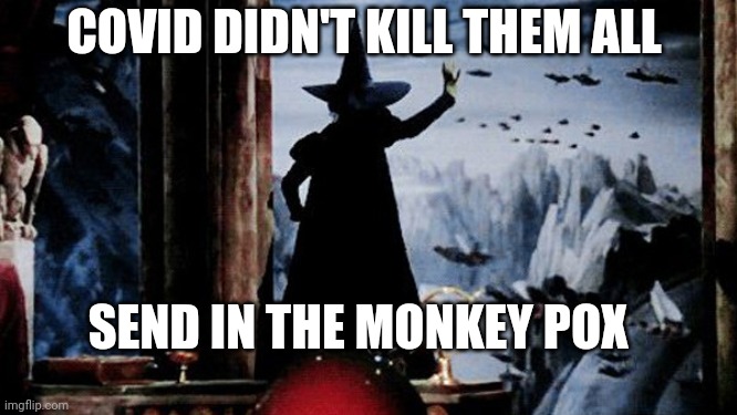 Wicked Witch of Monkey Pox |  COVID DIDN'T KILL THEM ALL; SEND IN THE MONKEY POX | image tagged in wicked witch,monkey pox,wizard of oz,flying monkeys | made w/ Imgflip meme maker