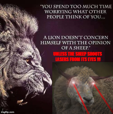 the lion and sheep | UNLESS THE SHEEP SHOOTS LASERS FROM ITS EYES !!! | image tagged in funny | made w/ Imgflip meme maker