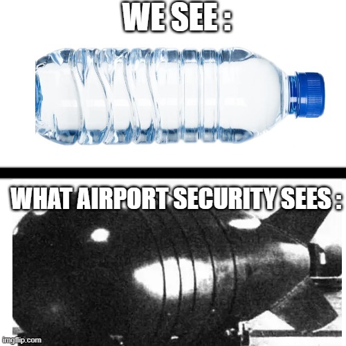Airport Meme |  WE SEE :; WHAT AIRPORT SECURITY SEES : | image tagged in memes,funny,airplane,fun,jokes,upvote | made w/ Imgflip meme maker