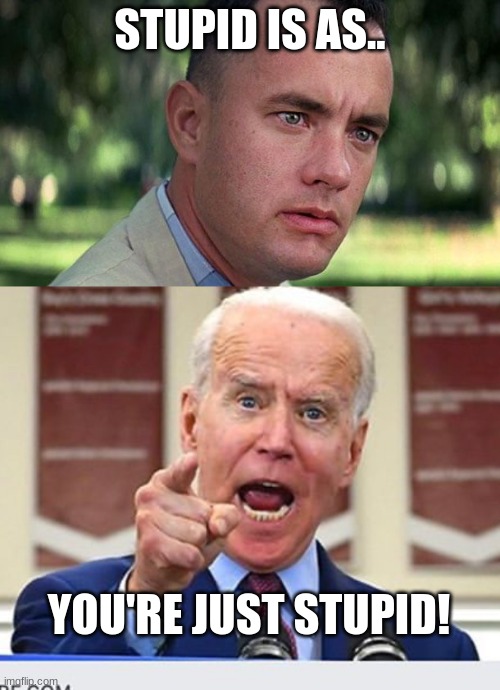 Brainwashing. | STUPID IS AS.. YOU'RE JUST STUPID! | image tagged in forest gump,joe biden no malarkey | made w/ Imgflip meme maker