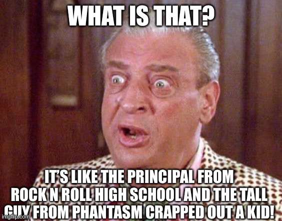 WHAT IS THAT? IT’S LIKE THE PRINCIPAL FROM ROCK N ROLL HIGH SCHOOL AND THE TALL GUY FROM PHANTASM CRAPPED OUT A KID! | made w/ Imgflip meme maker