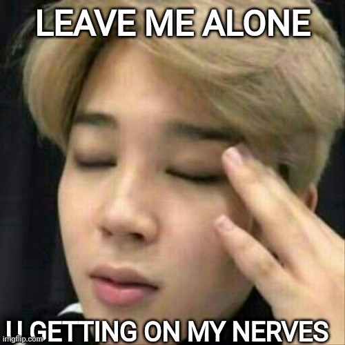 BTS Feelings | LEAVE ME ALONE; U GETTING ON MY NERVES | image tagged in bts,relatable,army,kpop,jimin | made w/ Imgflip meme maker