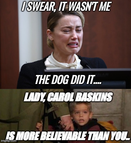 The award for worst actor goes to... | I SWEAR, IT WASN'T ME; THE DOG DID IT.... LADY, CAROL BASKINS; IS MORE BELIEVABLE THAN YOU.. | image tagged in girls poop too,disgusted,amber heard,funny,memes,template | made w/ Imgflip meme maker