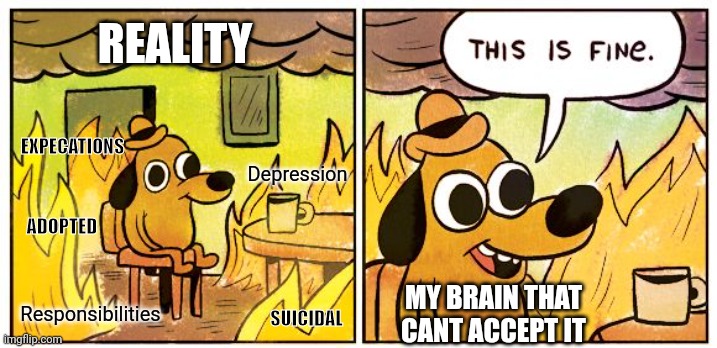 REALITY TGAT YOU CANT ACCEPT | REALITY; EXPECATIONS; Depression; ADOPTED; Responsibilities; MY BRAIN THAT CANT ACCEPT IT; SUICIDAL | image tagged in memes,this is fine | made w/ Imgflip meme maker