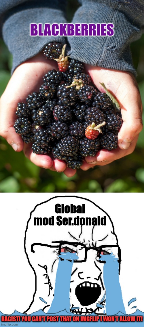 Better Version of ser.donald's insanity | BLACKBERRIES; Global mod Ser.donald; RACIST! YOU CAN'T POST THAT ON IMGFLIP I WON'T ALLOW IT! | image tagged in wojack crying nooo,imgflip,leftists,mod,censorship | made w/ Imgflip meme maker