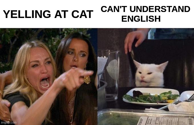 Woman Yelling At Cat | YELLING AT CAT; CAN'T UNDERSTAND         ENGLISH | image tagged in memes,woman yelling at cat | made w/ Imgflip meme maker