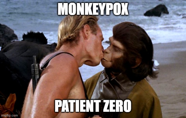 Monkeypox | MONKEYPOX; PATIENT ZERO | image tagged in monkey | made w/ Imgflip meme maker