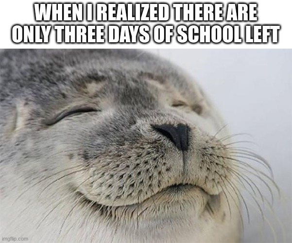 No need for a good title | WHEN I REALIZED THERE ARE ONLY THREE DAYS OF SCHOOL LEFT | image tagged in memes,satisfied seal | made w/ Imgflip meme maker