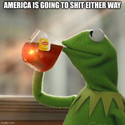 But That's None Of My Business Meme | AMERICA IS GOING TO SHIT EITHER WAY | image tagged in memes,but that's none of my business,kermit the frog | made w/ Imgflip meme maker