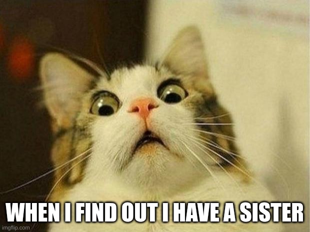 Scared Cat Meme | WHEN I FIND OUT I HAVE A SISTER | image tagged in memes,scared cat | made w/ Imgflip meme maker