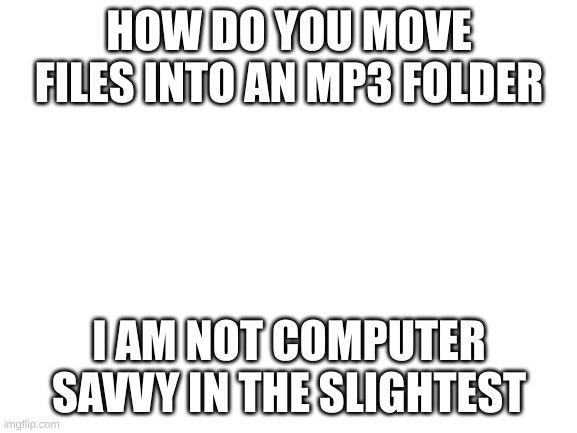 im using a chromebook btw | HOW DO YOU MOVE FILES INTO AN MP3 FOLDER; I AM NOT COMPUTER SAVVY IN THE SLIGHTEST | image tagged in blank white template | made w/ Imgflip meme maker