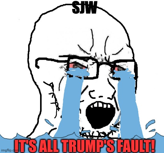 Wojack Crying Nooo! | SJW IT'S ALL TRUMP'S FAULT! | image tagged in wojack crying nooo | made w/ Imgflip meme maker