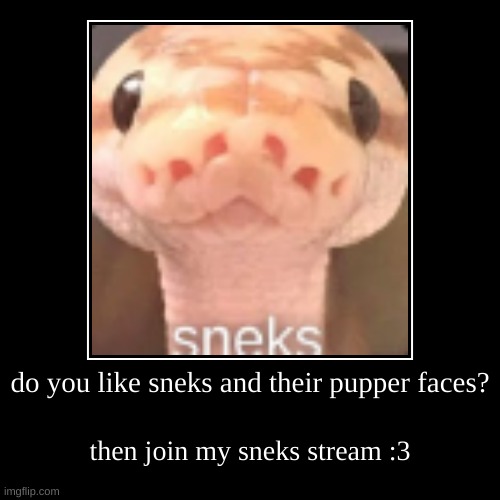 s n e k | do you like sneks and their pupper faces? | then join my sneks stream :3 | image tagged in funny,demotivationals,snek | made w/ Imgflip demotivational maker