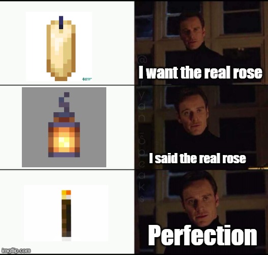 show me the real | I want the real rose; I said the real rose; Perfection | image tagged in show me the real | made w/ Imgflip meme maker