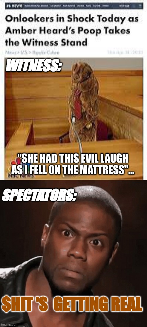 Star Witness Drops A Bomb-Shell... | WITNESS:; "SHE HAD THIS EVIL LAUGH AS I FELL ON THE MATTRESS"... SPECTATORS:; $HIT 'S  GETTING REAL | image tagged in women be trippin',girls poop too,shitty meme,memes,funny,amber heard | made w/ Imgflip meme maker