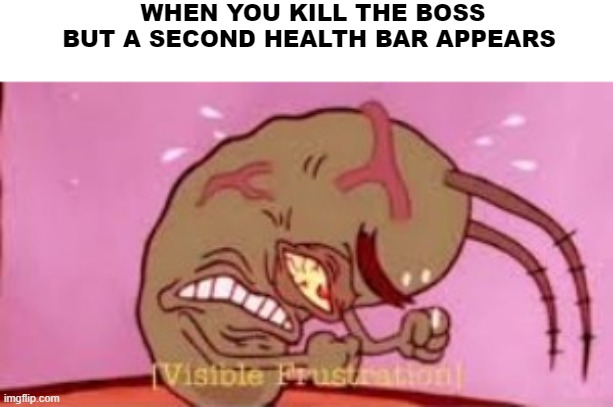 I hate it when this happens | WHEN YOU KILL THE BOSS BUT A SECOND HEALTH BAR APPEARS | image tagged in visible frustration | made w/ Imgflip meme maker