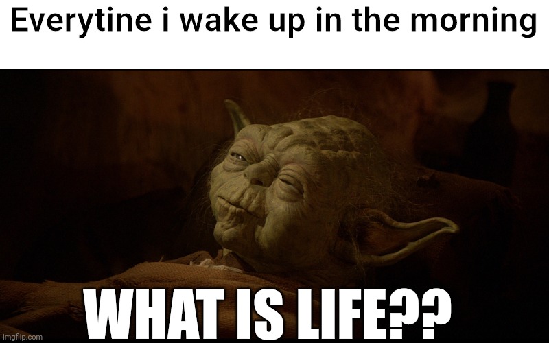 What is life | Everytine i wake up in the morning; WHAT IS LIFE?? | image tagged in kaylee waking up | made w/ Imgflip meme maker