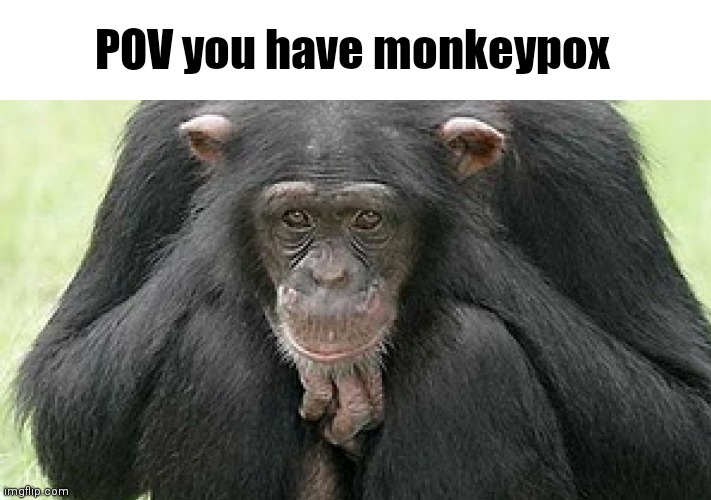 Monkeypox | POV you have monkeypox | image tagged in monkey,memes | made w/ Imgflip meme maker