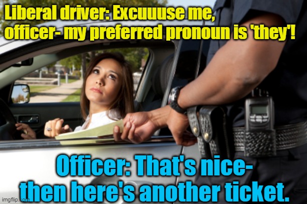 Liberals routinely manage to out-stoopid themselves.  Do they think it's a competetion? |  Liberal driver: Excuuuse me, officer- my preferred pronoun is 'they'! Officer: That's nice- then here's another ticket. | image tagged in liberal logic,stupid liberals,triggered liberal,pronouns,grow up | made w/ Imgflip meme maker