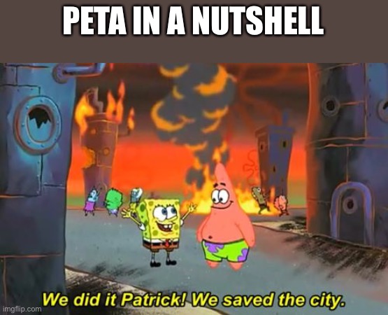 Spongebob we saved the city | PETA IN A NUTSHELL | image tagged in spongebob we saved the city,peta,in a nutshell | made w/ Imgflip meme maker