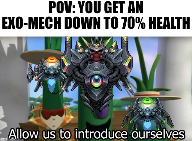 POV: YOU GET AN EXO-MECH DOWN TO 70% HEALTH | image tagged in calamity mod | made w/ Imgflip meme maker
