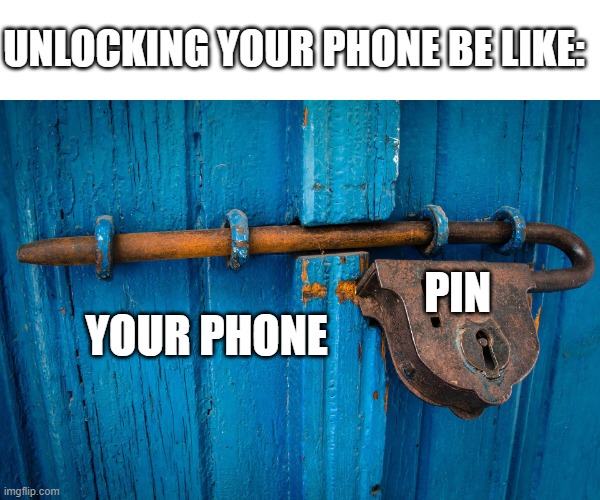 I hate pins | UNLOCKING YOUR PHONE BE LIKE:; PIN; YOUR PHONE | image tagged in phone | made w/ Imgflip meme maker