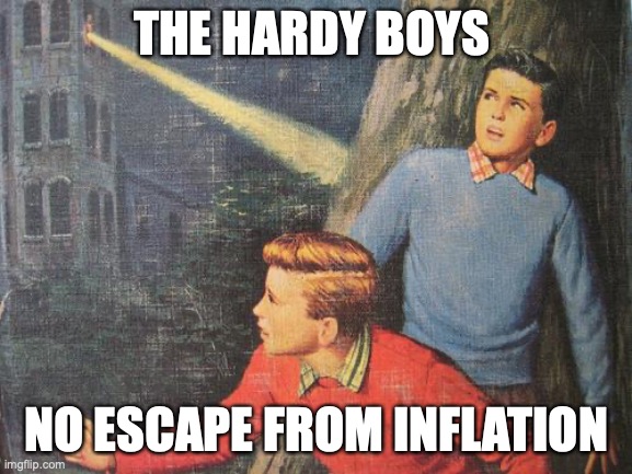 Millennial Books 1 |  THE HARDY BOYS; NO ESCAPE FROM INFLATION | image tagged in hardy boys,millennials,elder millennials,economy,inflation,funny | made w/ Imgflip meme maker