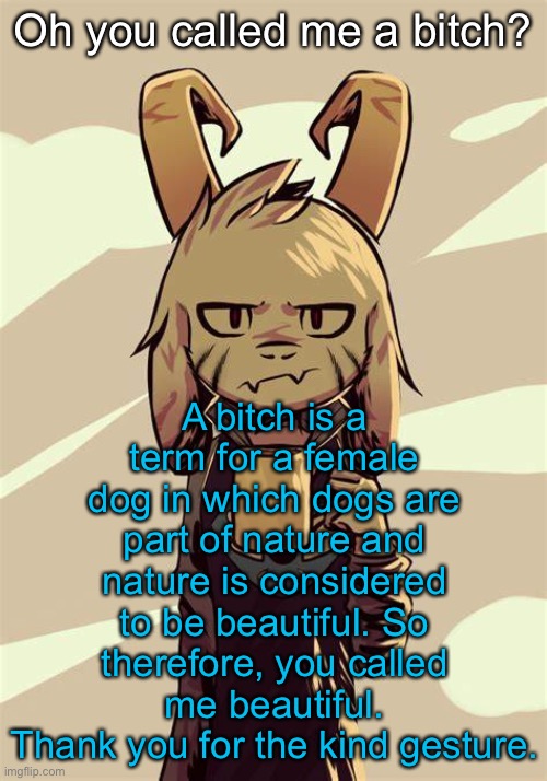 Thanks | Oh you called me a bitch? A bitch is a term for a female dog in which dogs are part of nature and nature is considered to be beautiful. So therefore, you called me beautiful.
Thank you for the kind gesture. | made w/ Imgflip meme maker