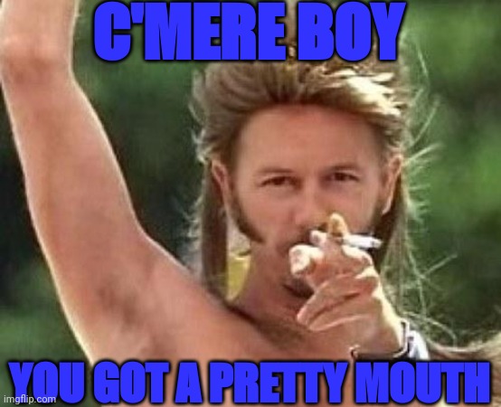 At Joe Dirts Family Reunion.... | C'MERE BOY; YOU GOT A PRETTY MOUTH | image tagged in joe dirt,family reunion,funny,memes,excuse me wtf blank template | made w/ Imgflip meme maker