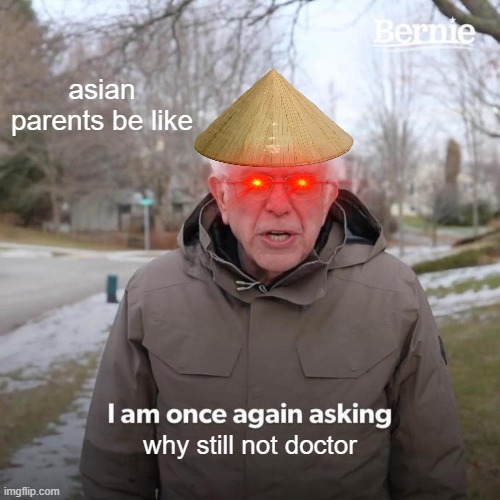 Bernie I Am Once Again Asking For Your Support | asian parents be like; why still not doctor | image tagged in memes,bernie i am once again asking for your support | made w/ Imgflip meme maker
