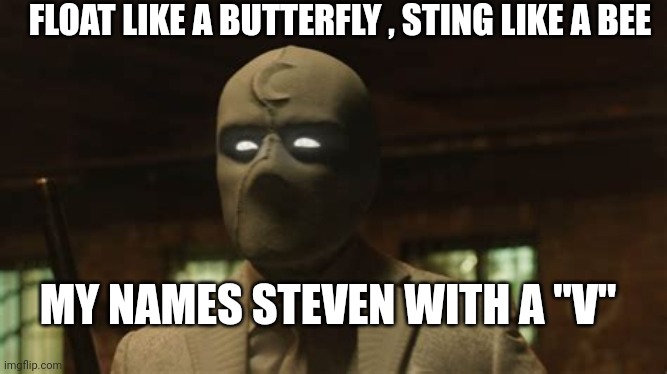 MY NAMES STEVEN WITH A "V" FLOAT LIKE A BUTTERFLY , STING LIKE A BEE | made w/ Imgflip meme maker