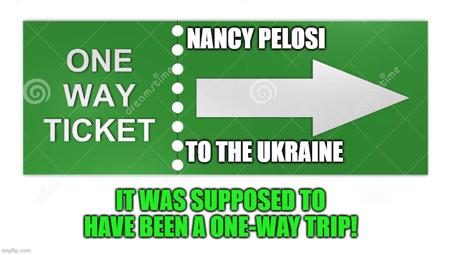 One Way Ticket | NANCY PELOSI TO THE UKRAINE IT WAS SUPPOSED TO HAVE BEEN A ONE-WAY TRIP! | image tagged in one way ticket | made w/ Imgflip meme maker