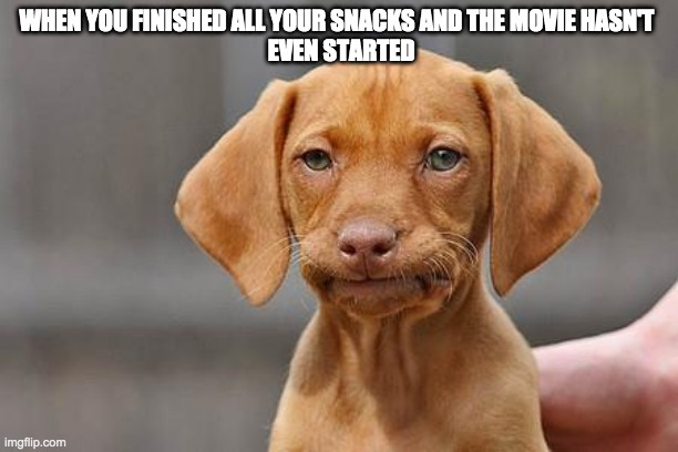 creative title | WHEN YOU FINISHED ALL YOUR SNACKS AND THE MOVIE HASN'T 
 EVEN STARTED | image tagged in dissapointed puppy,why are you reading this | made w/ Imgflip meme maker
