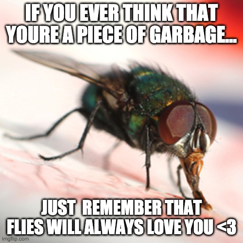 self esteem fixer | IF YOU EVER THINK THAT YOURE A PIECE OF GARBAGE... JUST  REMEMBER THAT FLIES WILL ALWAYS LOVE YOU <3 | image tagged in yuhh | made w/ Imgflip meme maker