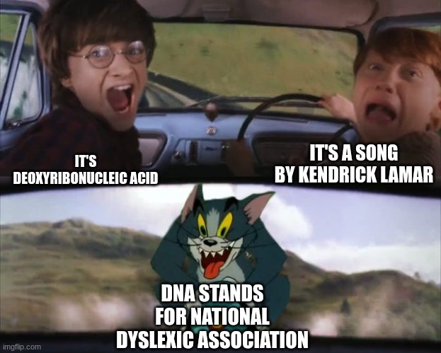 [Insert clever title here] | IT'S A SONG BY KENDRICK LAMAR; IT'S DEOXYRIBONUCLEIC ACID; DNA STANDS FOR NATIONAL DYSLEXIC ASSOCIATION | image tagged in tom chasing harry and ron weasly | made w/ Imgflip meme maker