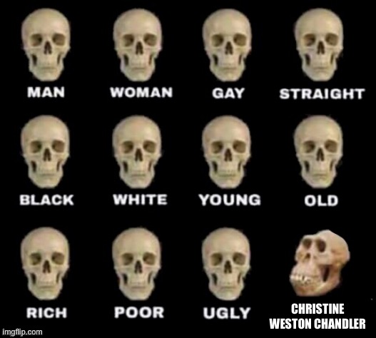 Hah | CHRISTINE WESTON CHANDLER | image tagged in idiot skull | made w/ Imgflip meme maker