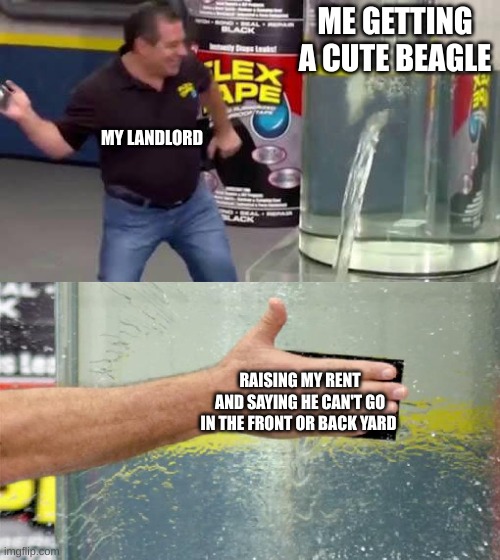Flex Tape |  ME GETTING A CUTE BEAGLE; MY LANDLORD; RAISING MY RENT AND SAYING HE CAN'T GO IN THE FRONT OR BACK YARD | image tagged in flex tape | made w/ Imgflip meme maker