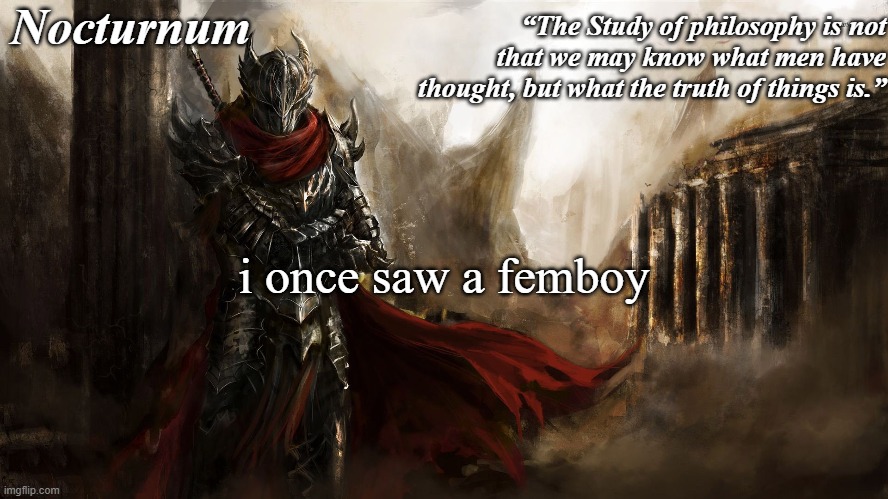 irl | i once saw a femboy | image tagged in nocturnum's knight temp | made w/ Imgflip meme maker
